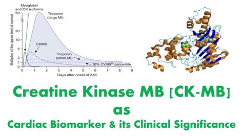 creatine kinase and ck mb.